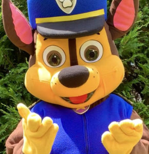 Rent Paw Patrol Characters