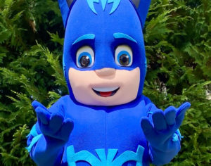 PJ Masks Party Characters