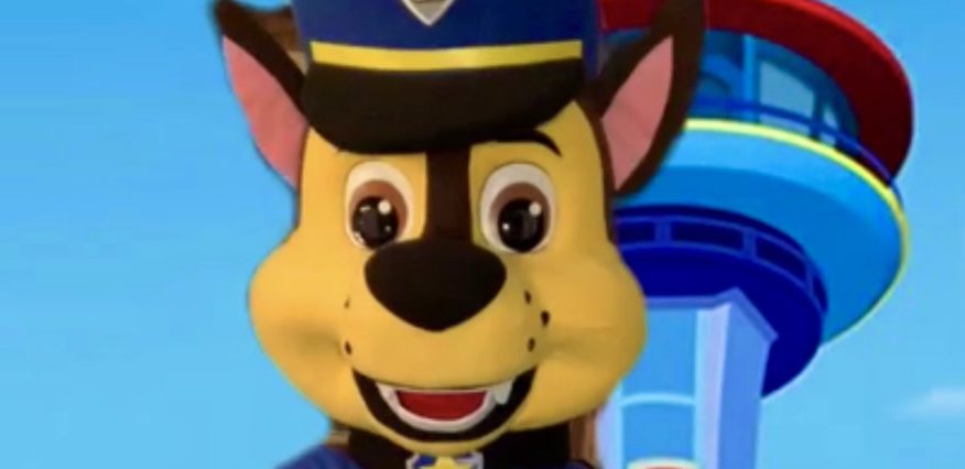 Rent Paw Patrol Characters