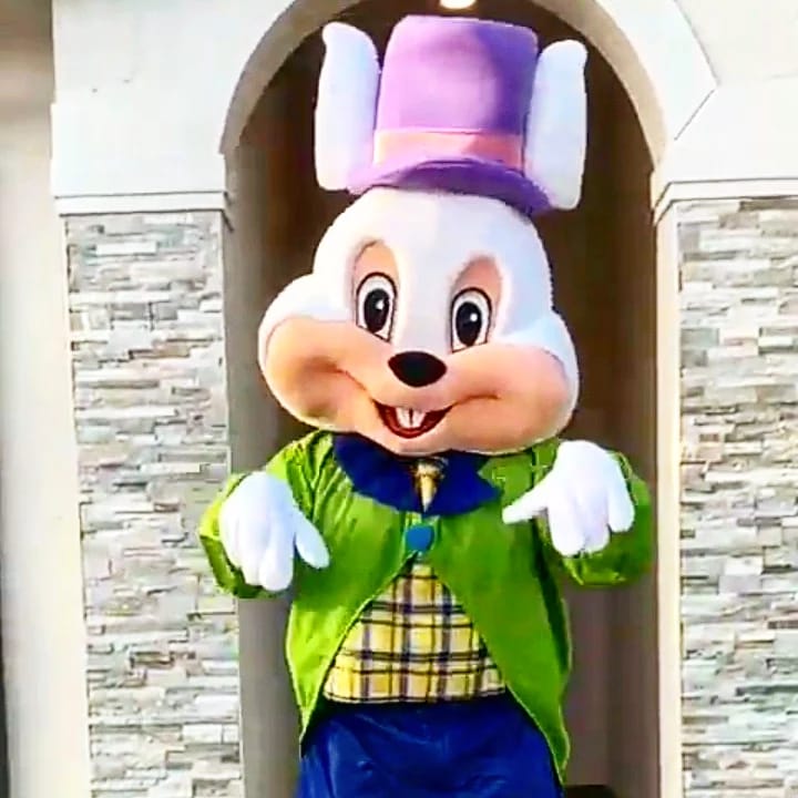 Miami Easter Bunny Rentals, Hire and Rent an Easter Bunny, FL.