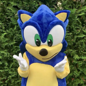 Rent Sonic The Hedgehog for a Party